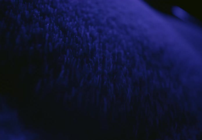 Abstract macro shot of tiny blue particles vibrating and shifting in the darkness