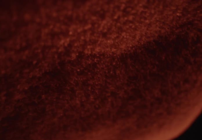 Extreme close-up of red, fuzzy fibers undulating in a mysterious, dark environment