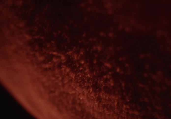 Vibrating red particles dance and shift in a mesmerizing abstract macro view