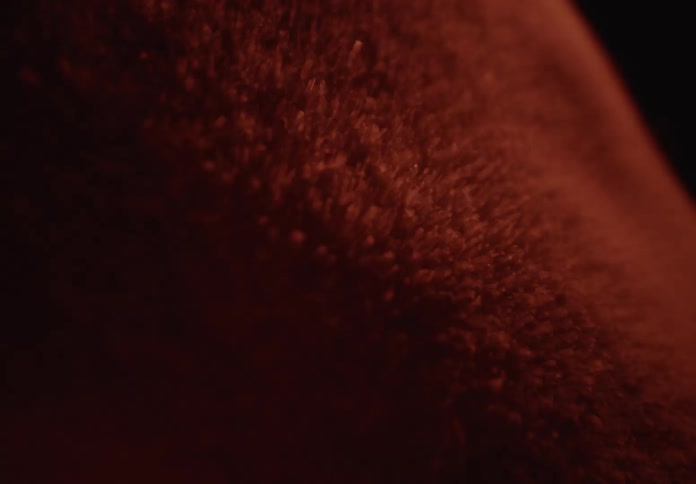 An extreme close-up of goosebumps rising and falling on human skin under dramatic red lighting