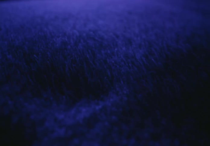 A macro shot shows dark blue sand-like particles moving chaotically due to sound vibrations
