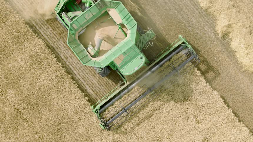 An overhead aerial view shows a green combine harvester moving through a golden field, collecting grain in its hopper during the harvest