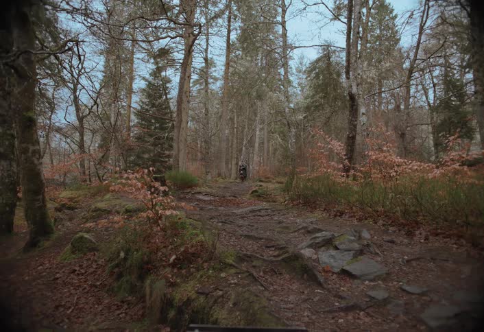 A lone hiker with a backpack stands on a muddy path in a dense, quiet autumn forest as the camera slowly pulls back