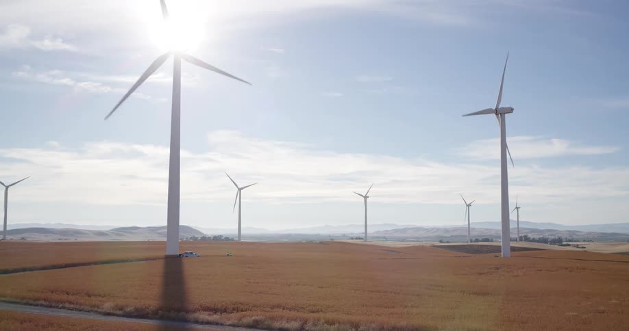 A wide shot shows a wind farm with multiple turbines spinning in a vast, sunny field of golden wheat