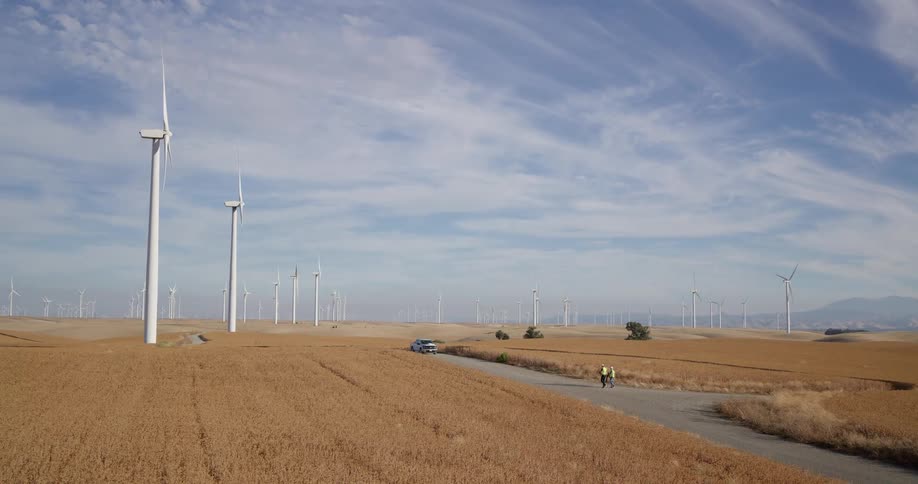 Two engineers walk down a rural road through a sprawling wind farm in a golden agricultural field
