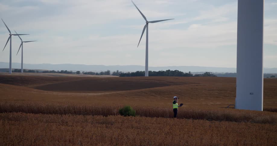 A female engineer in a hard hat and safety vest works on a laptop in a golden field at a wind farm with numerous spinning turbines