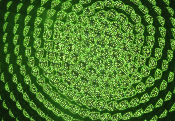 A hypnotic, glowing geometric pattern of concentric circles slowly pulses and changes colors from green to purple