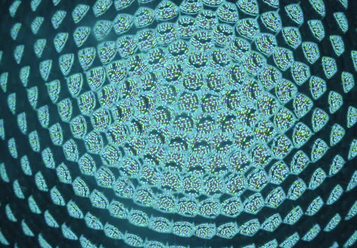 A mesmerizing kaleidoscopic pattern of glowing geometric shapes pulsates and shifts through a vibrant spectrum of colors