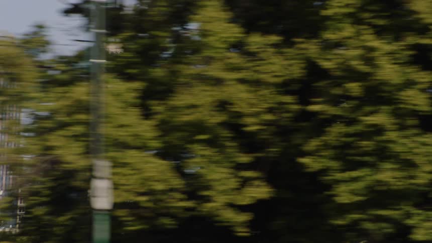 A city skyline reveals itself from behind lush green trees as seen from a moving vehicle