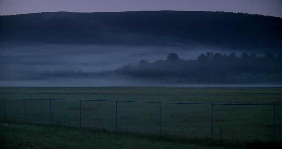 The long green field has fog rolling over it