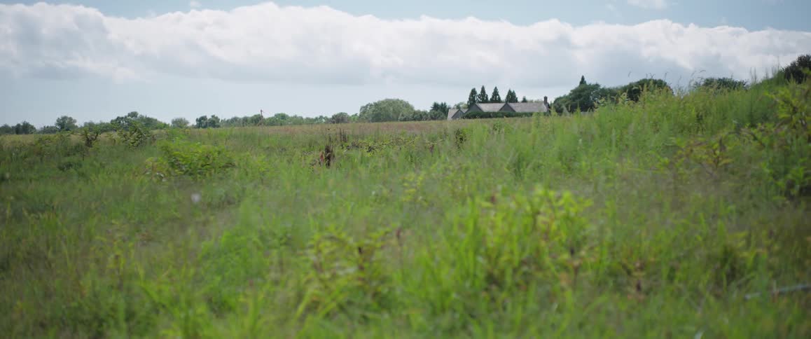 A static shot of a lush, overgrown green field with a distant farmhouse visible in the background under a cloudy sky