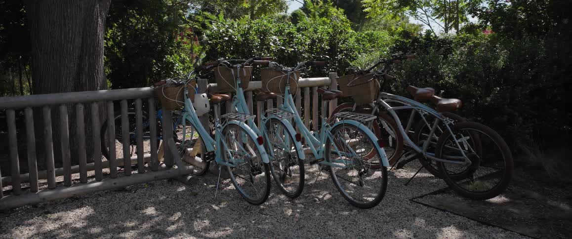 A row of light blue cruiser bicycles with baskets are parked along a wooden fence on a gravel path surrounded by lush greenery