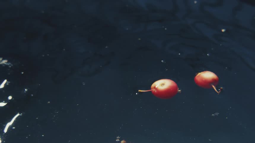 Two small red crab apples on a stick are dropped into dark water, creating a dramatic splash in slow motion