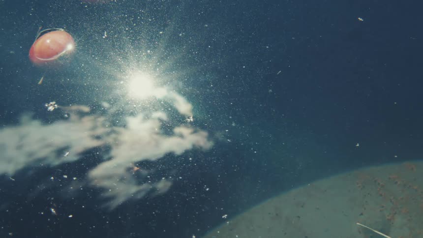High angle of two small red fruits floating on dark, shimmering water as the sun creates a bright reflection