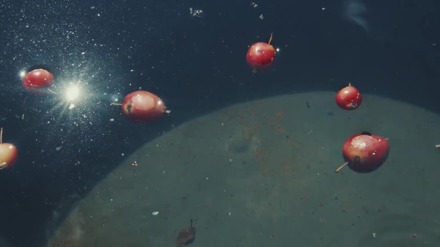 Surreal close-up of small red apples floating in dark water, resembling a celestial scene with a bright star