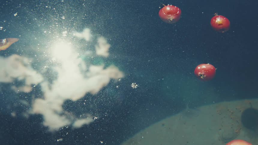 Dreamy underwater view of small red apples floating on the surface of dark water with a shimmering sun and cloud reflection