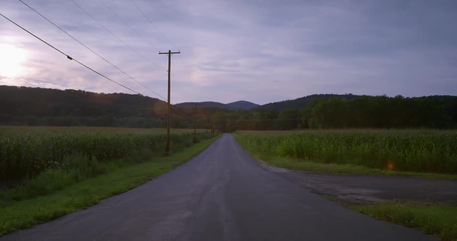 A rural road is shown in the summer