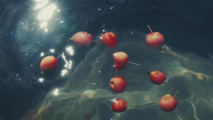 Red crabapples fall into sun-drenched water, creating a large splash in dramatic slow motion