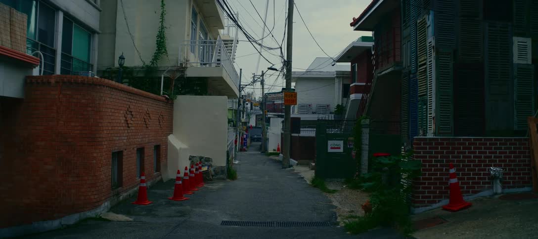 A stray cat cautiously appears in a quiet, narrow back alley of a residential neighborhood in South Korea
