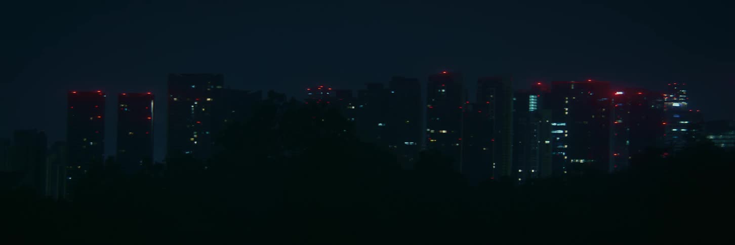 A still shot of a city skyline with buildings lit up against the dark night sky