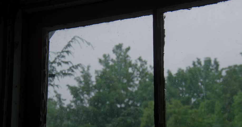 Trees are seen through a paned window