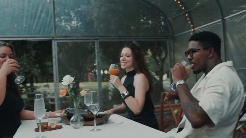A diverse group of friends make a toast with cocktails in slow motion while sitting at a dinner party in a greenhouse