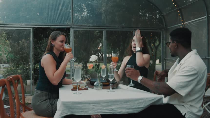A group of diverse friends enjoys cocktails and lively conversation at an outdoor dinner party in a beautiful greenhouse