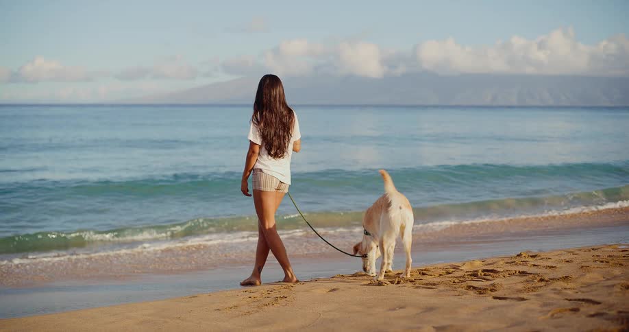 A woman and her happy dog enjoy a peaceful walk along the ocean shoreline on a beautiful sandy beach in slow motion