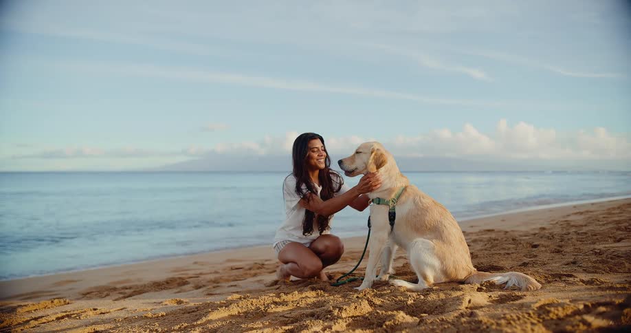 A smiling young woman affectionately pets her happy golden retriever dog on a beautiful sandy beach at sunrise