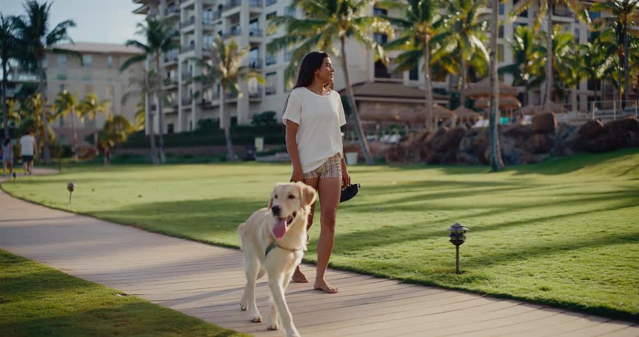 Happy young woman walks her golden retriever barefoot along a path at a beautiful tropical resort during golden hour