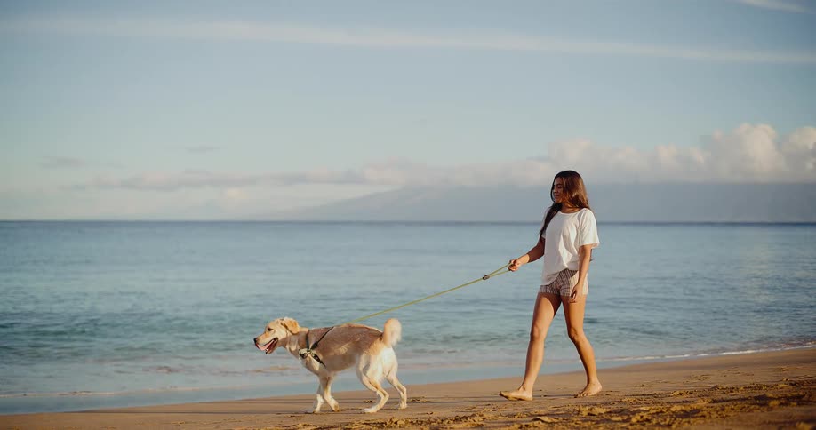 A smiling young woman walks her happy golden retriever along a tranquil sandy beach next to the ocean at golden hour