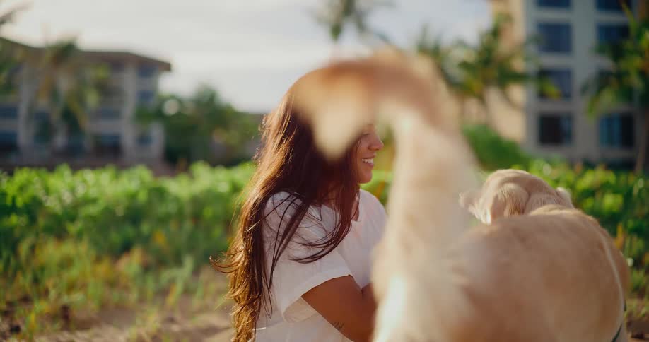 Slow motion shot of a smiling young woman playing with her happy golden retriever outdoors in the warm sunlight