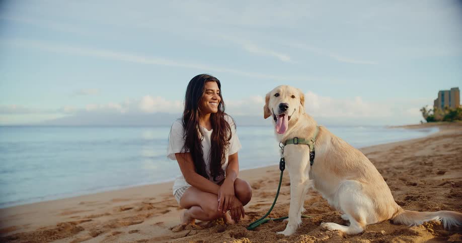 A happy young woman kneels in the sand and smiles at her adorable golden retriever on the beach at sunrise