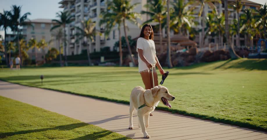 A smiling woman enjoys a leisurely barefoot walk with her happy golden retriever on a path through a grassy park at a tropical resort