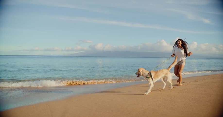 A smiling young woman enjoys a morning run with her happy golden retriever along a beautiful sandy beach in slow motion