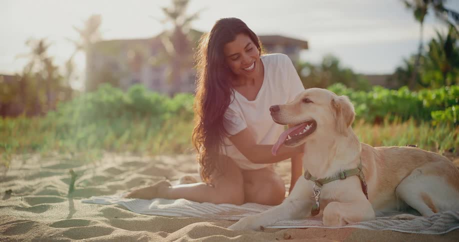 A smiling young woman affectionately pets her happy golden retriever while relaxing together on a sandy beach at golden hour
