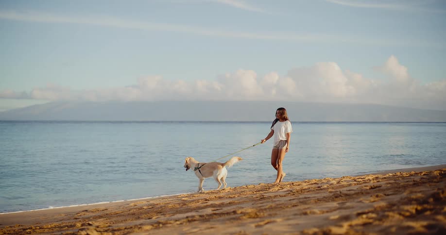 A young woman and her happy golden retriever enjoy a peaceful walk along a beautiful sandy beach at sunrise