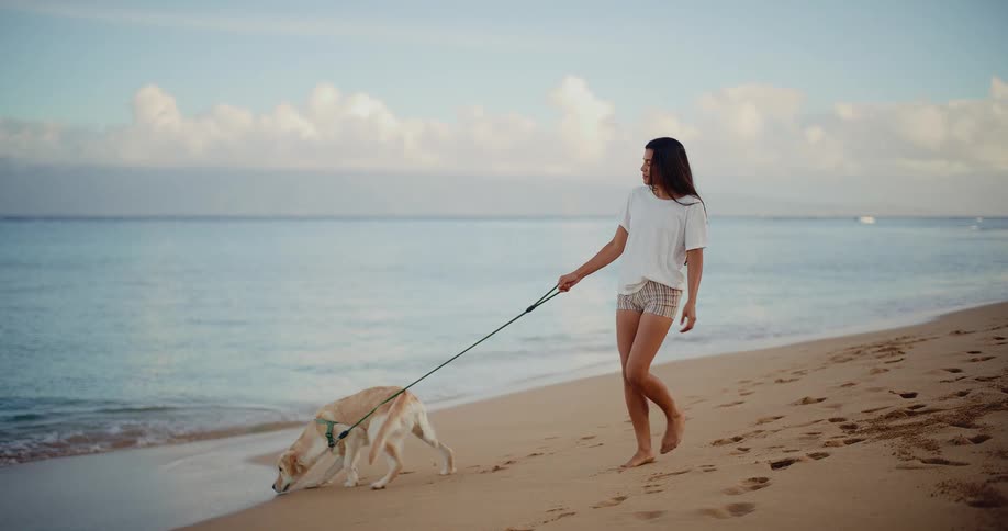 A young woman and her adorable golden retriever enjoy a peaceful walk along the sandy shore at sunrise