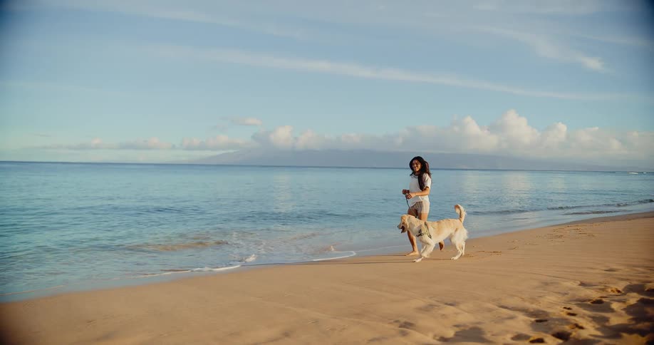 A woman and her happy golden retriever run in slow motion along the shoreline of a beautiful tropical beach