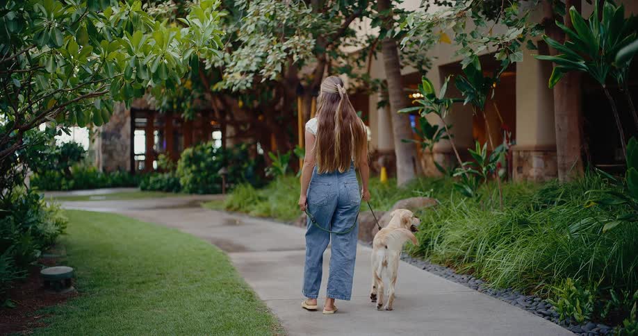 A woman with long blonde hair walks her golden retriever dog along a path in a beautiful green park in slow motion