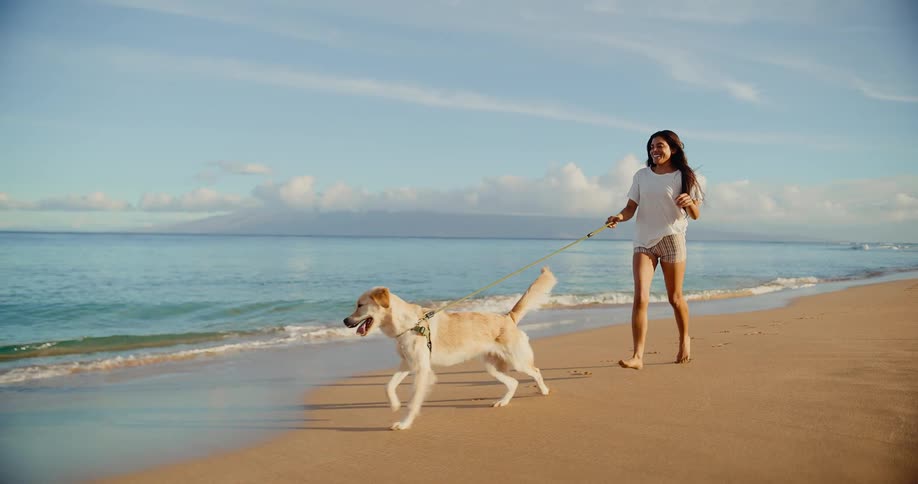 A happy young woman and her adorable golden retriever run along the sandy shore in slow motion at sunrise