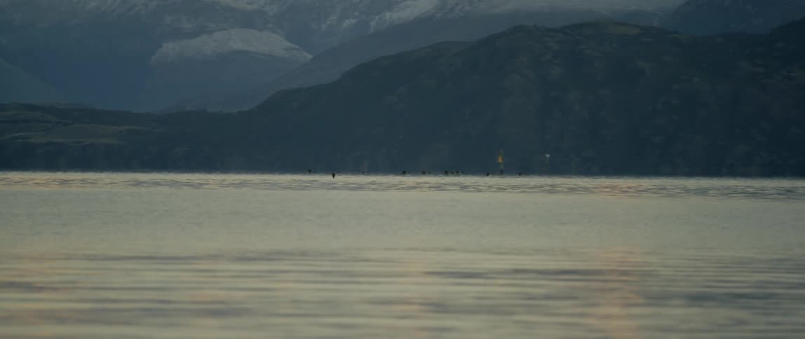 Birds fly over a mountain lake