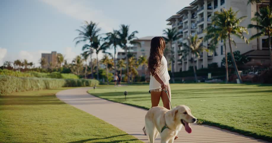 A happy young woman enjoys a leisurely walk barefoot with her golden retriever dog at a beautiful tropical resort in slow motion