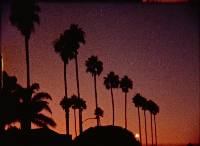 A row of silhouetted palm trees stand tall against a grainy, vintage orange and purple sunset sky