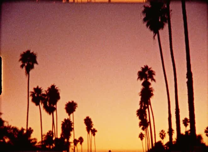 Vintage 8mm film captures the serene beauty of silhouetted palm trees against a colorful sunset sky