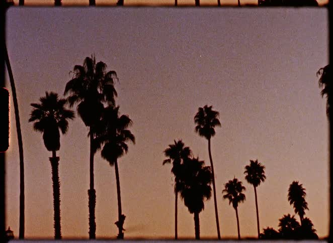 A nostalgic vintage film shot of silhouetted palm trees swaying against a gradient sunset sky