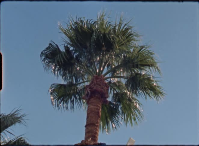 Vintage 8mm film captures a low-angle view of a palm tree adorned with sparkling tinsel against a bright blue sky