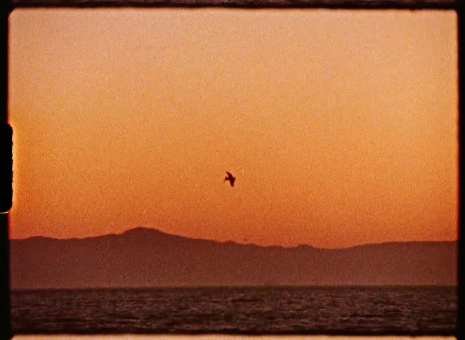 Vintage film captures a tranquil sunset over the ocean as a silhouetted bird flies past distant mountains