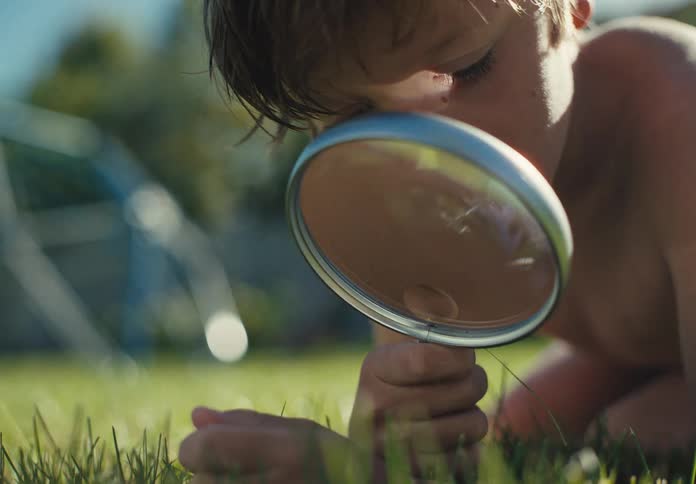 Curious young boy lies in the grass examining the ground with a magnifying glass in a sunny backyard