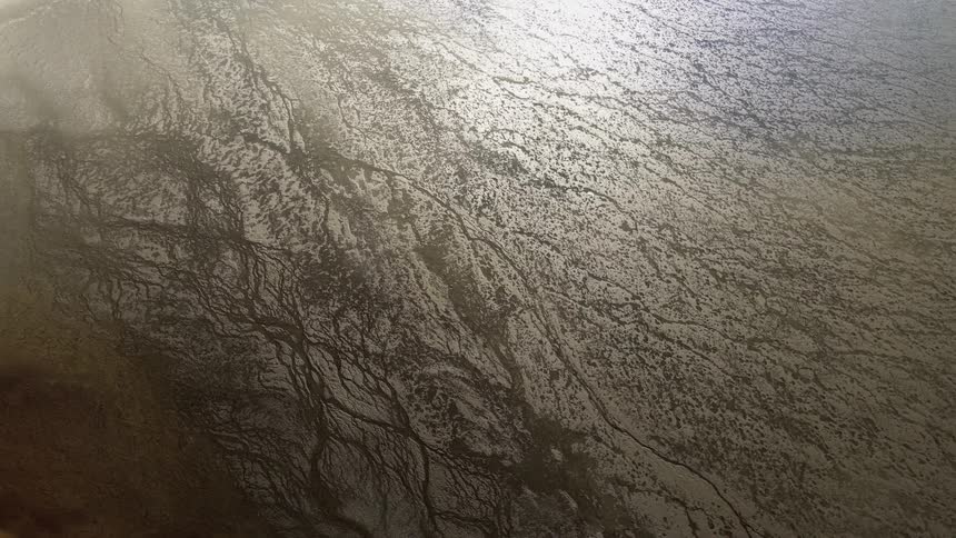 A mesmerizing top-down aerial shot captures the abstract, root-like patterns of a vast river delta